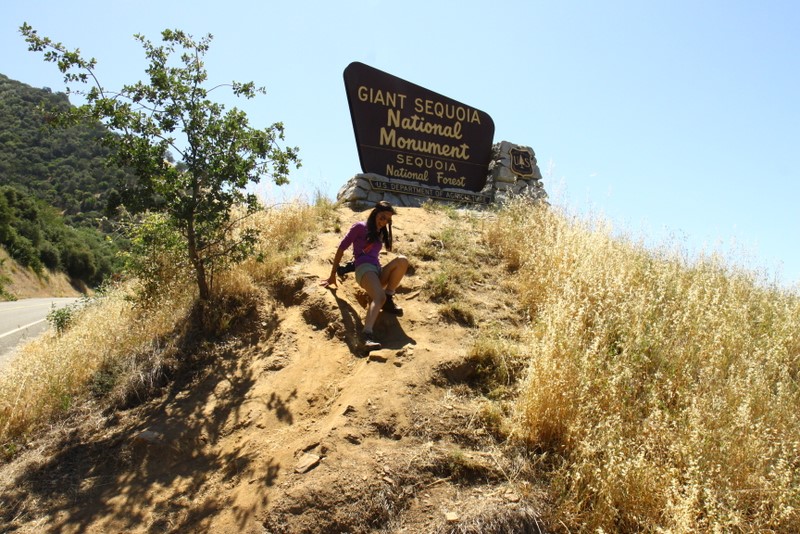 Crawling down Mt. Sequoia Sign