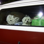 At the Gas station outside Tulare