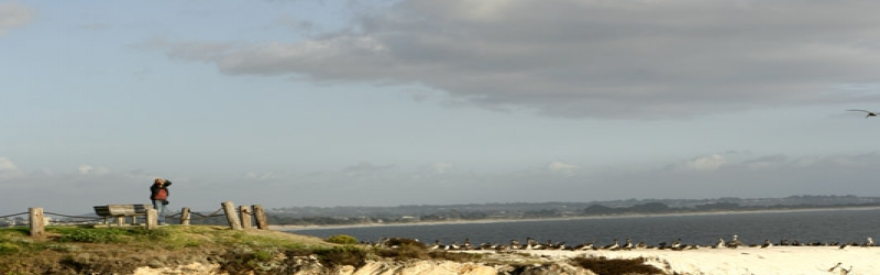 Vespa Highway 1: LA to SF