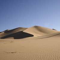 Ibex Sand Dunes