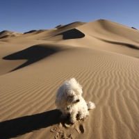 Nickel pondering life