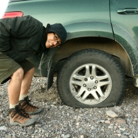 Good Morning Surprise