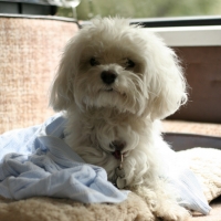 Where the hell are we?