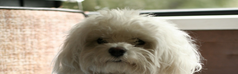 Sequoia National Forest