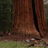 Friends of the General