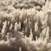 Salt crystals