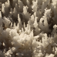 Salt Crystals