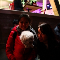 Dog in the jacket trick