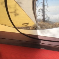 Open the door please.