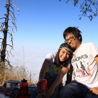 Teh bugs are coming.