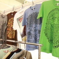 Timber Preservation Society