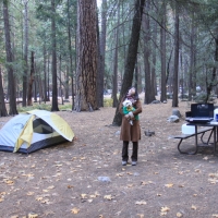 Upper Pines Campground