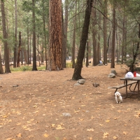 Upper Pines Campground