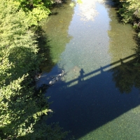 Shadow of me on a bridge