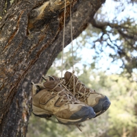 Abandoned Hiking Boots