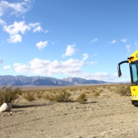 Schoolbus in the middle of the desert!!