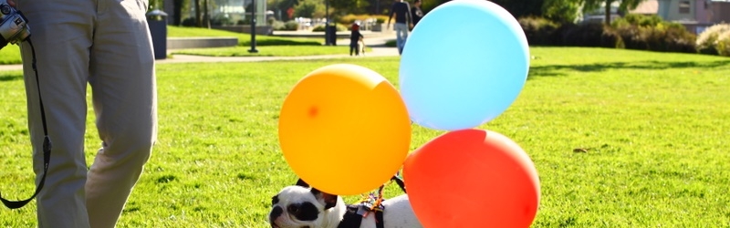 Happy Birthday Senna