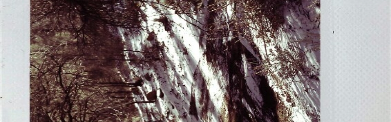 Kat's Death Valley Polaroids