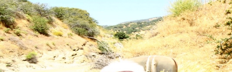 Sequoia National Forest