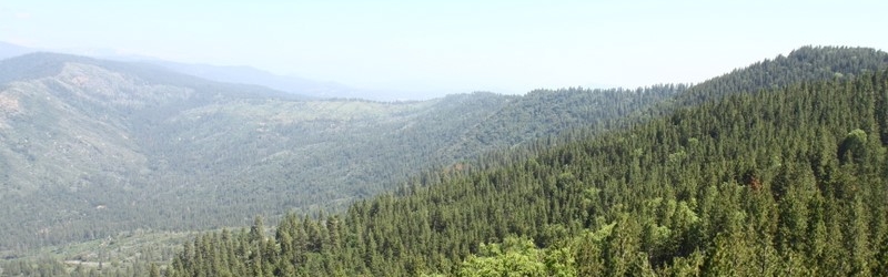 Sequoia National Forest