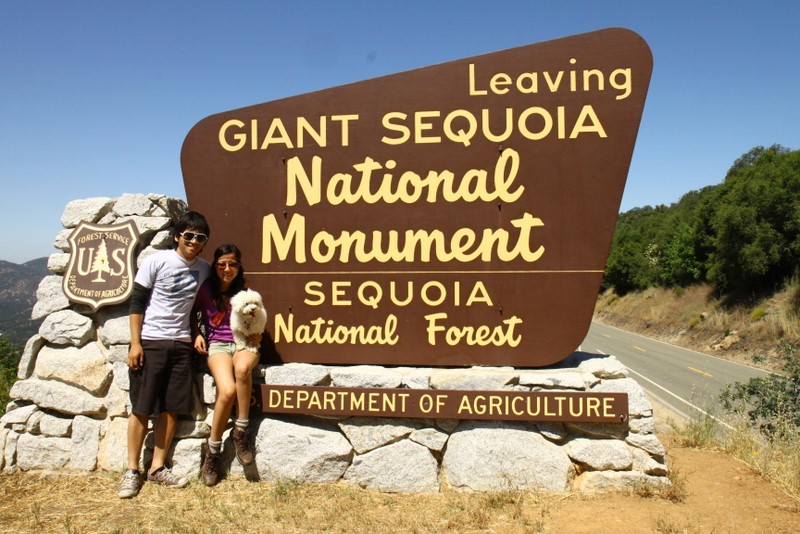 Family Portraiture at the National Monumenture of Sequoia Foresture
