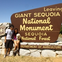Family Portraiture at the National Monumenture of Sequoia Foresture