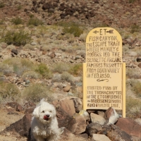 The End is our Beginning