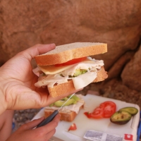 Turkey Avocado Delight