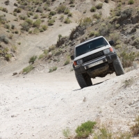 Basso trying to look out his window