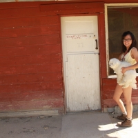 Where the magic happens