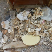 Lets play guess how old the poop is