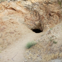 Guess what's inside the hole?