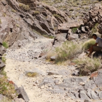 Ummm. Time to turn around