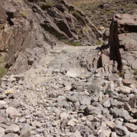 It looks so much worse in person