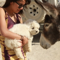 He only has eyes for Nickel