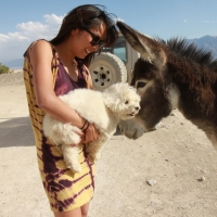 He only has eyes for Nickel