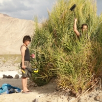 Ze cleaning crew, we ended up doing nothing