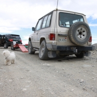 How to load a car that don't roll?