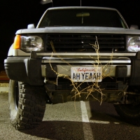 Basso picked up a new friend