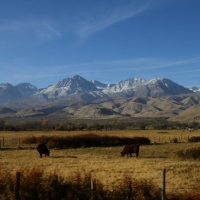 Hello, Eastern Sierras
