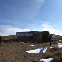 Identified Flying Snow