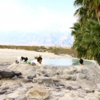 Boys Getting Naked in the Hot Tub Hooray