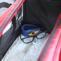 Nickel's Travel Outfit