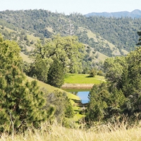 Ze pond behind the campsite