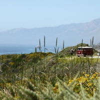 VW Buses are our friends :)