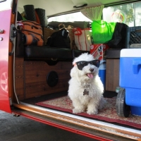 Who's ready for Camping?