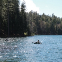 Off to catch some fishies