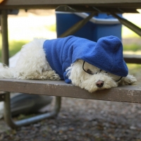 Ugh.  When do we get out of here.