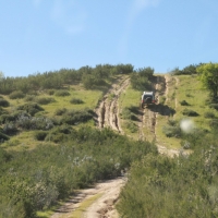 Umm I don't want to try that