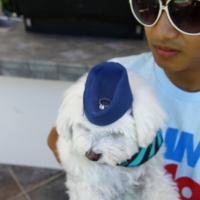 A quieter re-enactment